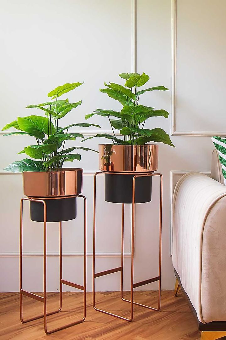 Stainless Steel Handcrafted Planters for Timeless Charm